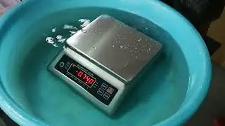 IP68 Stainless steel waterproof weighing scale