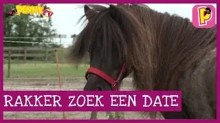 Rakker zoekt date!