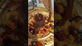 Om namah Shivay#har har Mahadev@Bam Bam bhole#Jay Mahakal#har har Shambhu#viral#shorts