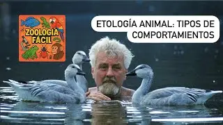 Etolog&iacute;a Animal: Tipos de comportamientos