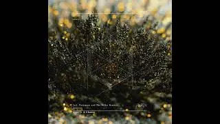 STIPP - Save Me [ANA118]