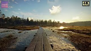 Virtual Nature Walk in Finland | theHunter: Call of the Wild | Video Game Ambience for Study & Work