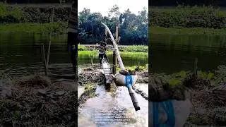 Ingenious Water Lifting System: Bamboo Counterweight Pump