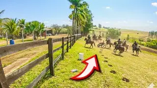 PROTEGENDO A  FAZENDA BLACKSTONE DE AMEAÇAS *10 temporada fazenda blackstone*