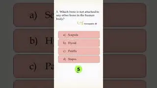 MCQ anatomy and physiology Question-3 #humanbody #anatomyandphysiology #anatomy #biology #science