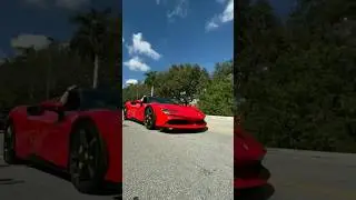 Cheetah vs Sports CarThe Ultimate Speed Showdown!#facts#wildlife#animals#tiktok#ferrari#lamborghini