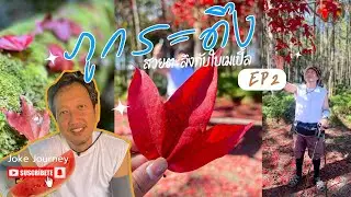 JOKE JOURNEY I รีวิวภูกระดึง2568 EP2 แบบเรียบง่าย สบายๆ