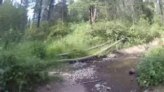 Top part of the Wolverine Trail on7/14/18