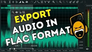 How to Export Audio in FLAC Format from Ocenaudio 2025?