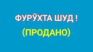 Квартирай фуруши 26.12.2025с Н.Рудаки Б.Сафина масоҳат 43м²  (Савдо тв).