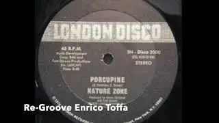 NATURE ZONE - Porcupine (ReGroove Enrico Toffa)