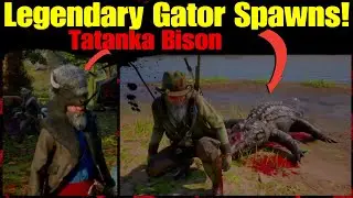 New Legendary Alligator Spawn Locations RDR2 ONLINE Teca Gator Skin Garment & Legendary Bison pt1
