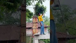 Building Pillar Casting | RCC Pillar Work | Construction short |#shorts #ytshorts #construction