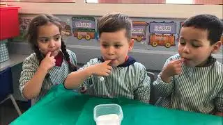 P4 El sentit del gust (curs 19/20)