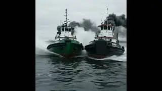 The Chief Tug Race