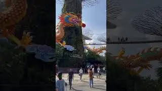 Year of the Dragon decorations in Singapore #shorts #yearofthedragon #newyear #singapore #dragon