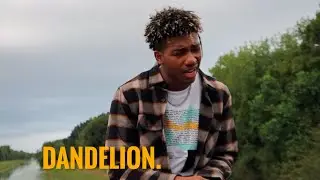 3Fortiori - DANDELION. (Official Music Video)