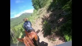 elk creek 2019