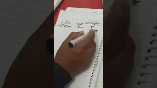 القسط التجاري شعبة تامينات