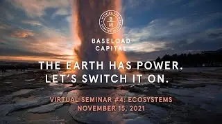 Virtual seminar #4 ecosystems