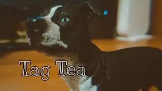 Tag tea 🍵