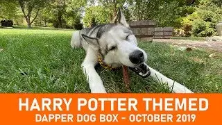 Dapper Dog Box  |  Harry Potter Themed October 2019