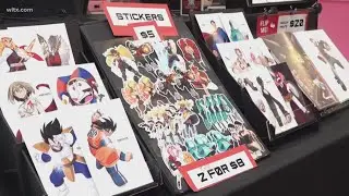 Costumes and creativity fill Columbia as city hosts first Anime-Fest
