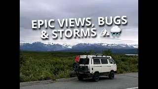 Bugs, Rain & Rough Roads | Vanagon Adventure on the Denali Highway