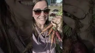 235 The 5 easy fall plants that you want in your #fallgarden and that you&rsquo;ll be able to #harvest☘️🎁