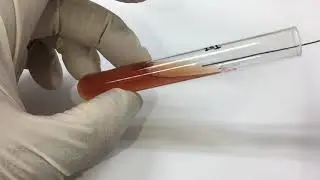 TSI inoculation:streaks and stab