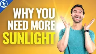 Get More Sunlight in The Winter (The Importance of Light in Our Life)