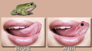 How to Merge Two Images in Photoshop | Easy Image Blending Tutorial for Beginners