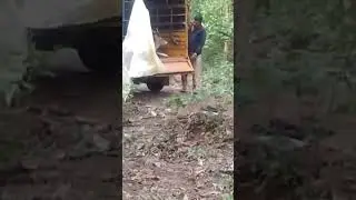 Rescue of Spotted Deer by Karnataka Forest Department #wildlife #wildanimals