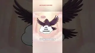 The Last Feather 🪶 | Emotional Crow Story | Cloud Talk Animation | SriHarsha