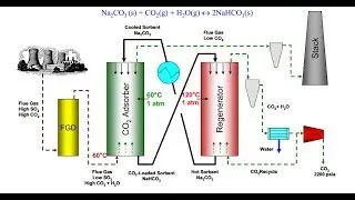 Lec 5 3rd Generation  Microalgae and Terrestrial Plants Nutrients Competition P1