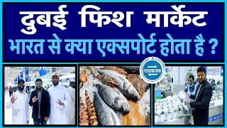 फिश एक्सपोर्ट मार्केट - क्या बिकता है दुबई में ? Dubai Fish Export Market - India Marine Export
