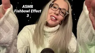 ASMR Fishbowl Effect 3