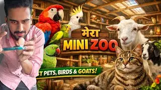 Kya Me Apne Bird's Ko Touch Kar Paunga??? | Paradise of pets Zoo vlog ❤