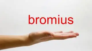 How to Pronounce bromius - American English