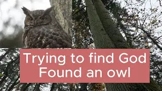 Trying to find God, a nature walk with Saint Waffles