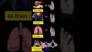 Dailymudras#yoga  #meditationmusic​ #meditationpractice​  #mudra #yt #youtubeshorts #shorts