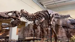 Carnegie Museum of Natural History 2025 | Pittsburgh Pennsylvania