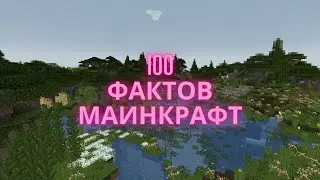 100 Fun Minecraft Facts You Didn't Know!