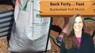 Buckwheat Hull Mulch E6S3