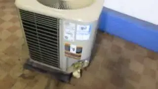 LENNOX Scratch & Dent R-22 Heat Pump Central Air Conditioner Condenser HP29-018-4P ACC-7194