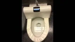chicago toilet