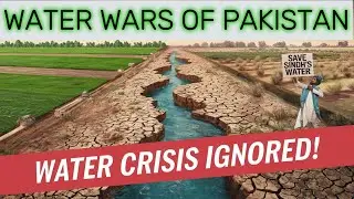 Water Crisis in Sindh: The Untold Impact of the Green Pakistan Initiative