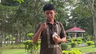 LIVE! Pamukaw sa Paglaum | December 31, 2025