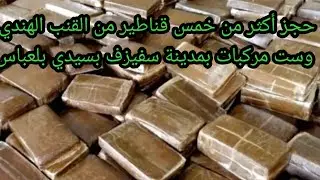محكمة القطب بوهران: إيداع 4 متهمين رهن الحبس المؤقت في إطار مكافحة المخدرات والمؤثرات العقلية