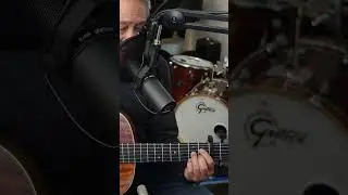 Winnie the Pooh Theme Song #acousticcover